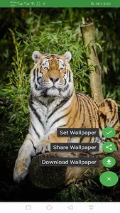 Wild Life HD Wallpapers | HD A screenshot 4