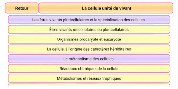 SVT Seconde screenshot 2