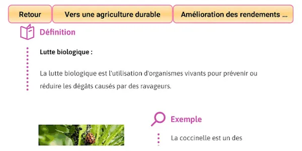 SVT Seconde screenshot 6