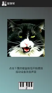 猫钢琴 screenshot 0