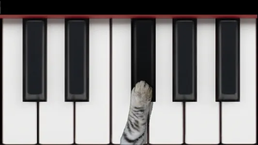 猫钢琴 screenshot 4