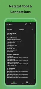 Ethwork: Netstat GUI screenshot 1