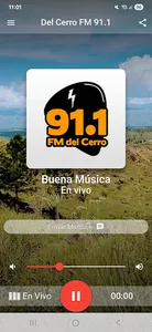 Del Cerro Fm 91.1 screenshot 0