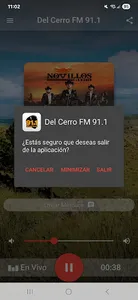 Del Cerro Fm 91.1 screenshot 4