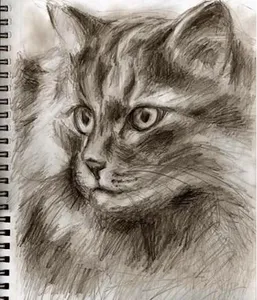 draw cool painters screenshot 1