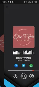 DELSU TV/RADIO screenshot 2