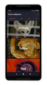 Photo Wallpapers screenshot 1