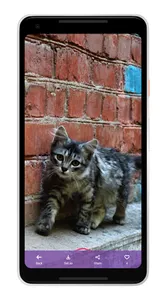 Photo Wallpapers screenshot 3
