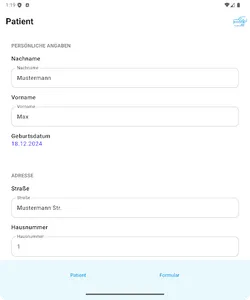 DENStaxi screenshot 5