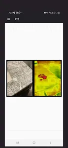 Dental Thermal App screenshot 4