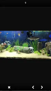 DESIGN OF AQUARIUM screenshot 2