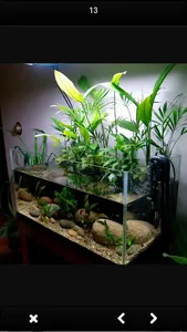 DESIGN OF AQUARIUM screenshot 4