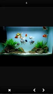 DESIGN OF AQUARIUM screenshot 9