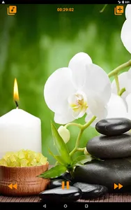 Relaxing Spa Music screenshot 16