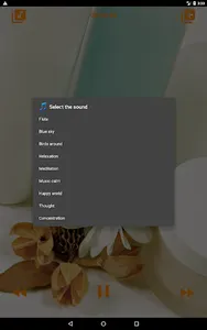 Relaxing Spa Music screenshot 19