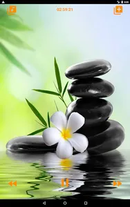 Relaxing Spa Music screenshot 23