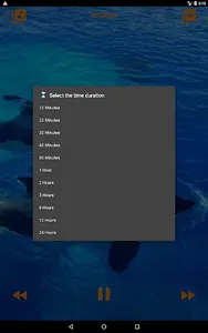 Whales songs to sleep screenshot 20