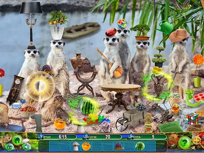 Hidden Objects Animal Puzzle screenshot 11