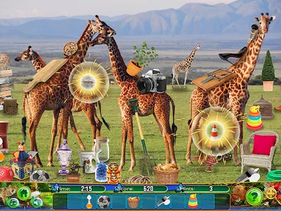 Hidden Objects Animal Puzzle screenshot 9