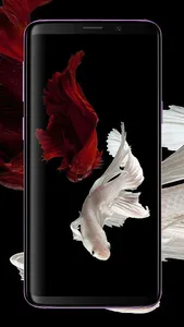 Black Red Wallpaper screenshot 1