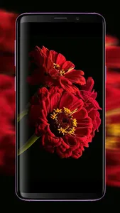 Black Red Wallpaper screenshot 2