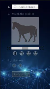Horse Ability Analyzer screenshot 1