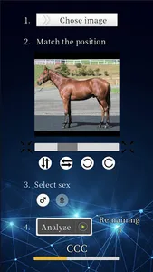 Horse Ability Analyzer screenshot 3