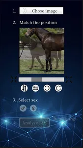 Horse Ability Analyzer screenshot 4