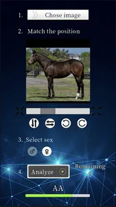 Horse Ability Analyzer screenshot 5