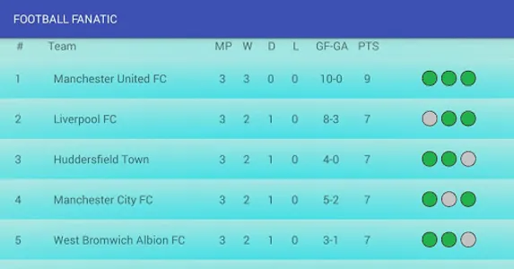 FOOTBALL FANATIC screenshot 1