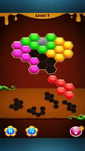 Block Puzzle Hexa Puzzle Game screenshot 11