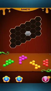 Block Puzzle Hexa Puzzle Game screenshot 13