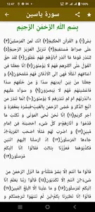 Surah Yaseen screenshot 2