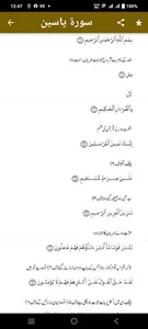 Surah Yaseen screenshot 3