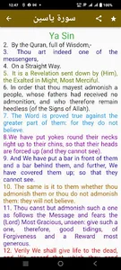 Surah Yaseen screenshot 4