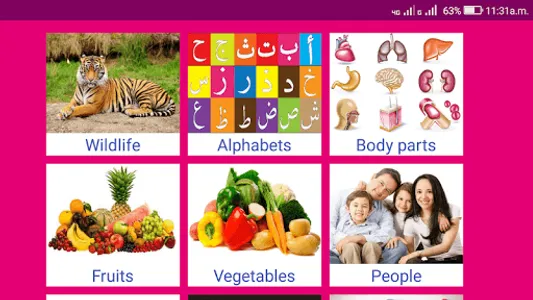 Learn Arabic From English screenshot 11