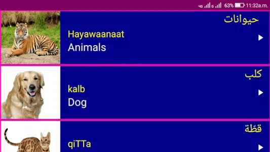 Learn Arabic From English screenshot 13