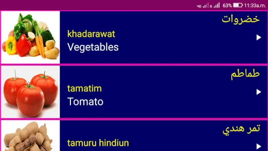 Learn Arabic From English screenshot 15