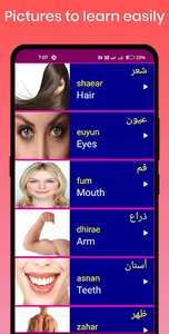 Learn Arabic From English screenshot 2