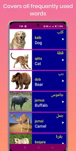 Learn Arabic From English screenshot 4