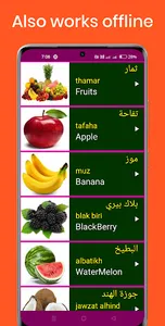 Learn Arabic From English screenshot 7