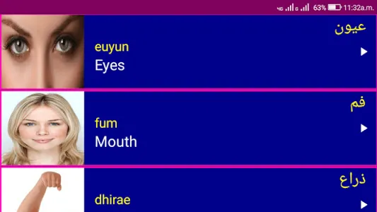 Learn Arabic From English screenshot 8