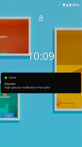 Dexcom Follow mmol/L DXCM15 screenshot 4