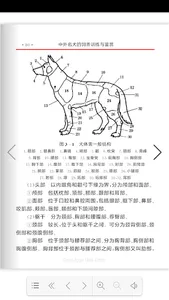 名犬饲养训练与鉴赏 screenshot 6