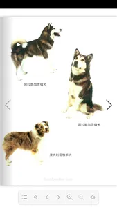 名犬饲养训练与鉴赏 screenshot 8