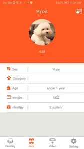 ddpet screenshot 2