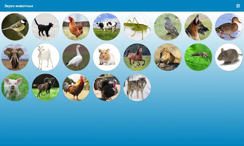 Animal Sounds For Kids screenshot 4