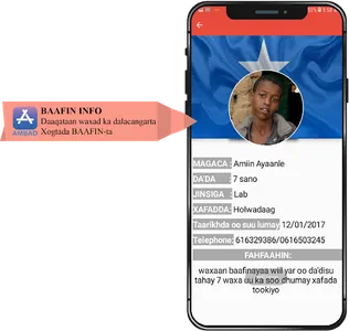 Ambad & Baafin screenshot 2