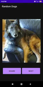 Random Dogs screenshot 0