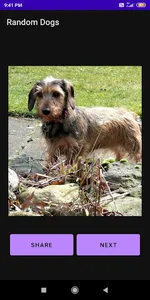 Random Dogs screenshot 1